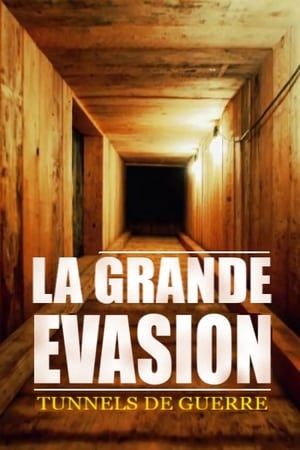 GREAT ESCAPE (2018) Hindi Dubbed 480p HDRip 450MB GREAT ESCAPE (2018) Hindi Dubbed 480p HDRip 450MB