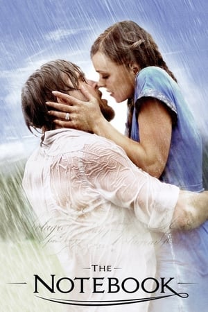 The Notebook 2004 Dual Audio Hindi Full Movie 720p BRRip - 1GB The Notebook 2004 Dual Audio Hindi Full Movie 720p BRRip - 1GB